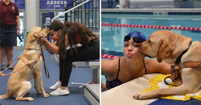 Nadadora que ficou cega ganha a ajuda de um cão-guia. Hoje são um time perfeito!