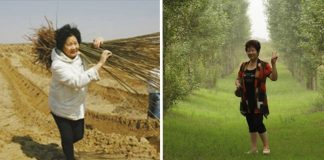 Mulher plantou dois milhões de árvores no deserto para realizar o último desejo de seu filho