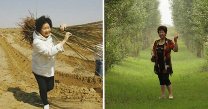 Mulher plantou dois milhões de árvores no deserto para realizar o último desejo de seu filho