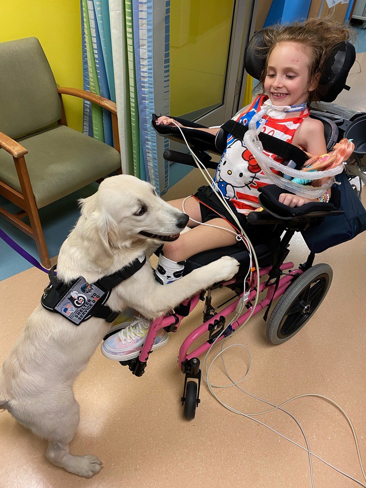 psicologiasdobrasil.com.br - Menina com paralisia recupera o sorriso graças à sua nova cachorrinha. Ela cuida dela e sempre a acompanha
