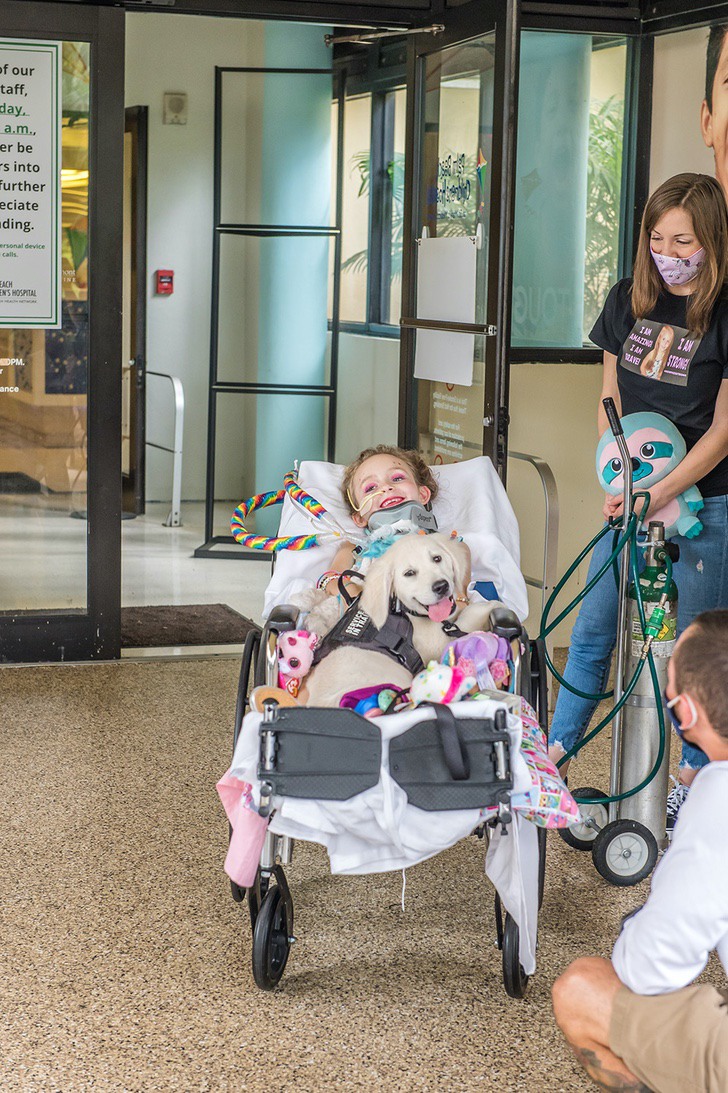 psicologiasdobrasil.com.br - Menina com paralisia recupera o sorriso graças à sua nova cachorrinha. Ela cuida dela e sempre a acompanha