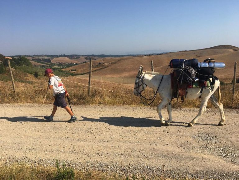 psicologiasdobrasil.com.br - Menino de 10 anos caminha mais de 2.700 km para visitar sua avó em meio à pandemia