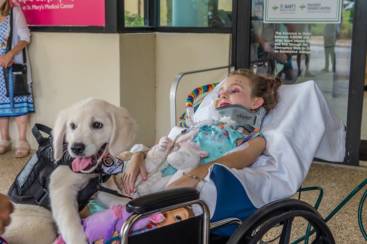 psicologiasdobrasil.com.br - Menina com paralisia recupera o sorriso graças à sua nova cachorrinha. Ela cuida dela e sempre a acompanha