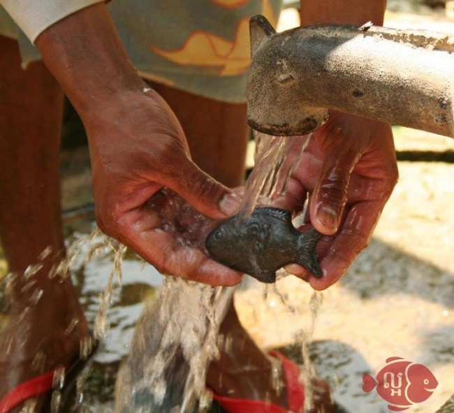 psicologiasdobrasil.com.br - Este peixe de ferro está salvando a vida de milhares de crianças com anemia