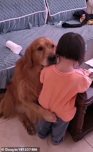 psicologiasdobrasil.com.br - Cãozinho de estimação protege menininha que estava sendo repreendida pela mãe