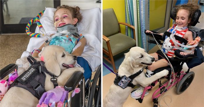Menina com paralisia recupera o sorriso graças à sua nova cachorrinha. Ela cuida dela e sempre a acompanha