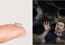 Elon Musk desenvolve chip que pode tratar esquizofrenia e autismo