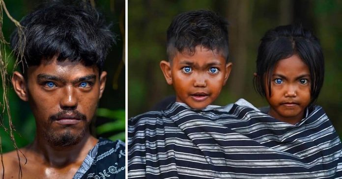 Os membros da tribo indonésia têm os olhos mais azuis já vistos. Eles brilham com sua própria luz