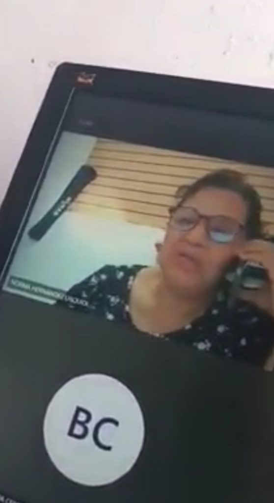 psicologiasdobrasil.com.br - Professora chama seus alunos de "burros" em aula virtual. Se esqueceu de desligar o microfone.