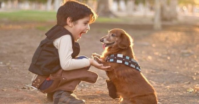 Escolas na Espanha adicionam nova disciplina ao currículo, “Respeito pelos animais”