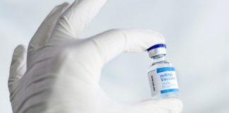 Primeiro teste humano de vacina contra HIV produziu resposta imunológica em 97% dos voluntários