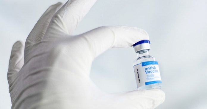 Primeiro teste humano de vacina contra HIV produziu resposta imunológica em 97% dos voluntários