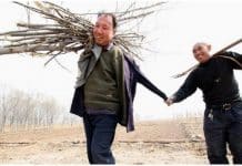 Homem cego e seu amigo sem braços plantaram 10.000 árvores na China em 10 anos
