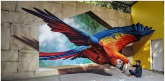 Artista de rua mexicano cria incríveis ilusões de ótica 3D