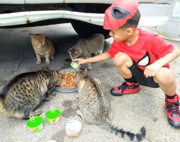 psicologiasdobrasil.com.br - Menino de 5 anos se veste de super-herói para ajudar gatos de rua