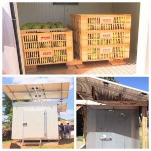 psicologiasdobrasil.com.br - Jovem cria um refrigerador solar para que os agricultores não percam suas safras