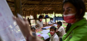 psicologiasdobrasil.com.br - A emocionante história de uma professora que viaja de canoa para dar aulas