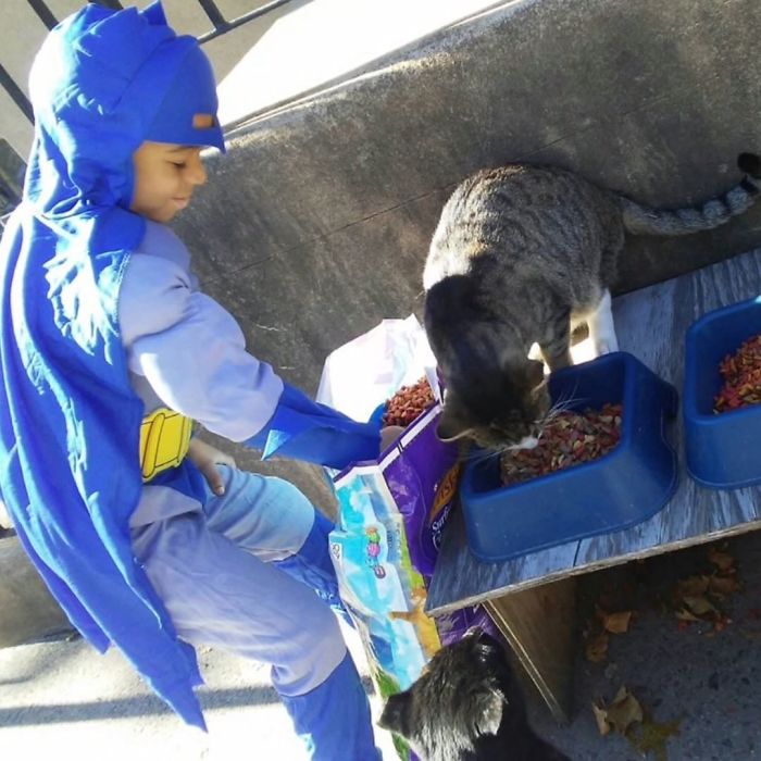 psicologiasdobrasil.com.br - Menino de 5 anos se veste de super-herói para ajudar gatos de rua