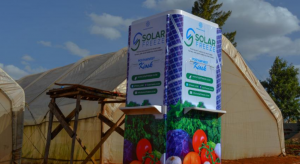 psicologiasdobrasil.com.br - Jovem cria um refrigerador solar para que os agricultores não percam suas safras