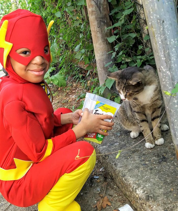 psicologiasdobrasil.com.br - Menino de 5 anos se veste de super-herói para ajudar gatos de rua