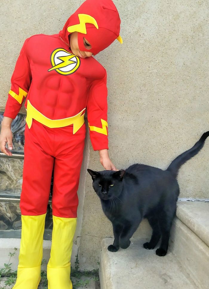 psicologiasdobrasil.com.br - Menino de 5 anos se veste de super-herói para ajudar gatos de rua