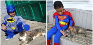 Menino de 5 anos se veste de super-herói para ajudar gatos de rua