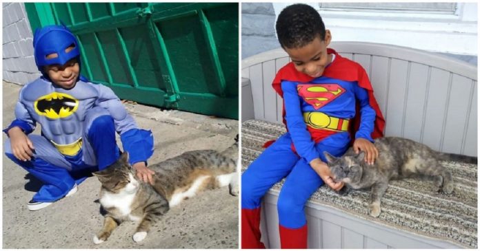 Menino de 5 anos se veste de super-herói para ajudar gatos de rua