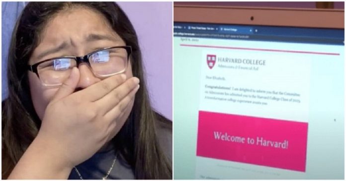 Jovem indígena viraliza após conseguir uma bolsa de estudos na Universidade de Harvard