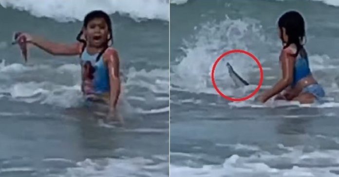 Garotinha de 6 anos se depara com tubarão ao entrar no mar e escapa