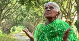 psicologiasdobrasil.com.br - A mãe das florestas: a mulher de 110 anos que plantou mais de 8.000 árvores