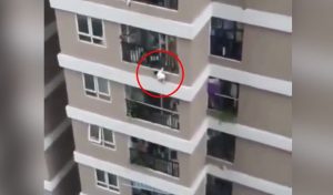 psicologiasdobrasil.com.br - Entregador salva garota que caiu da varanda do décimo segundo andar de prédio