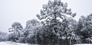 Onda de frio no Brasil promete ser uma das mais intensas do século