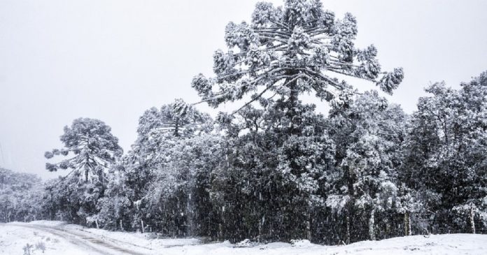 Onda de frio no Brasil promete ser uma das mais intensas do século