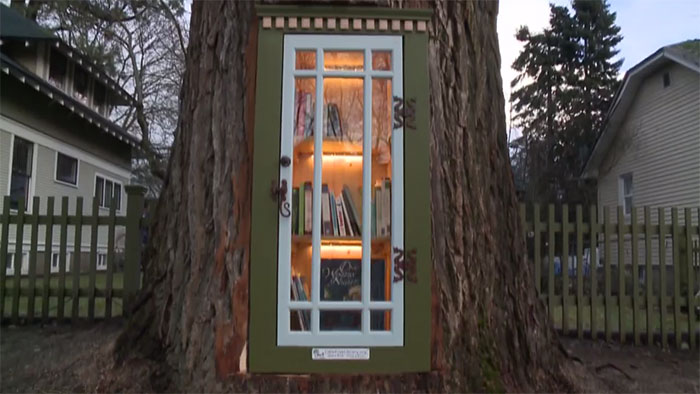 psicologiasdobrasil.com.br - Mulher transforma árvore morta de 110 anos em biblioteca mágica