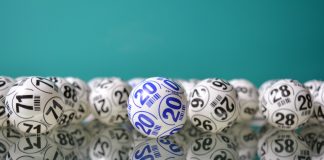 Diferenças entre bingo ao vivo e bingo online