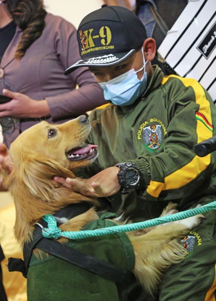 psicologiasdobrasil.com.br - Jovem com deficiência motora é escolhido como treinador de cães policiais
