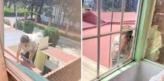 Câmeras flagram vovó espionando vizinhos pela janela. Usou até uma escada