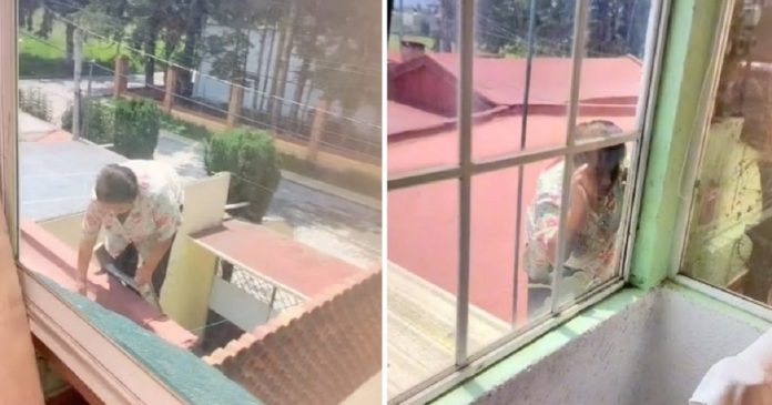 Câmeras flagram vovó espionando vizinhos pela janela. Usou até uma escada
