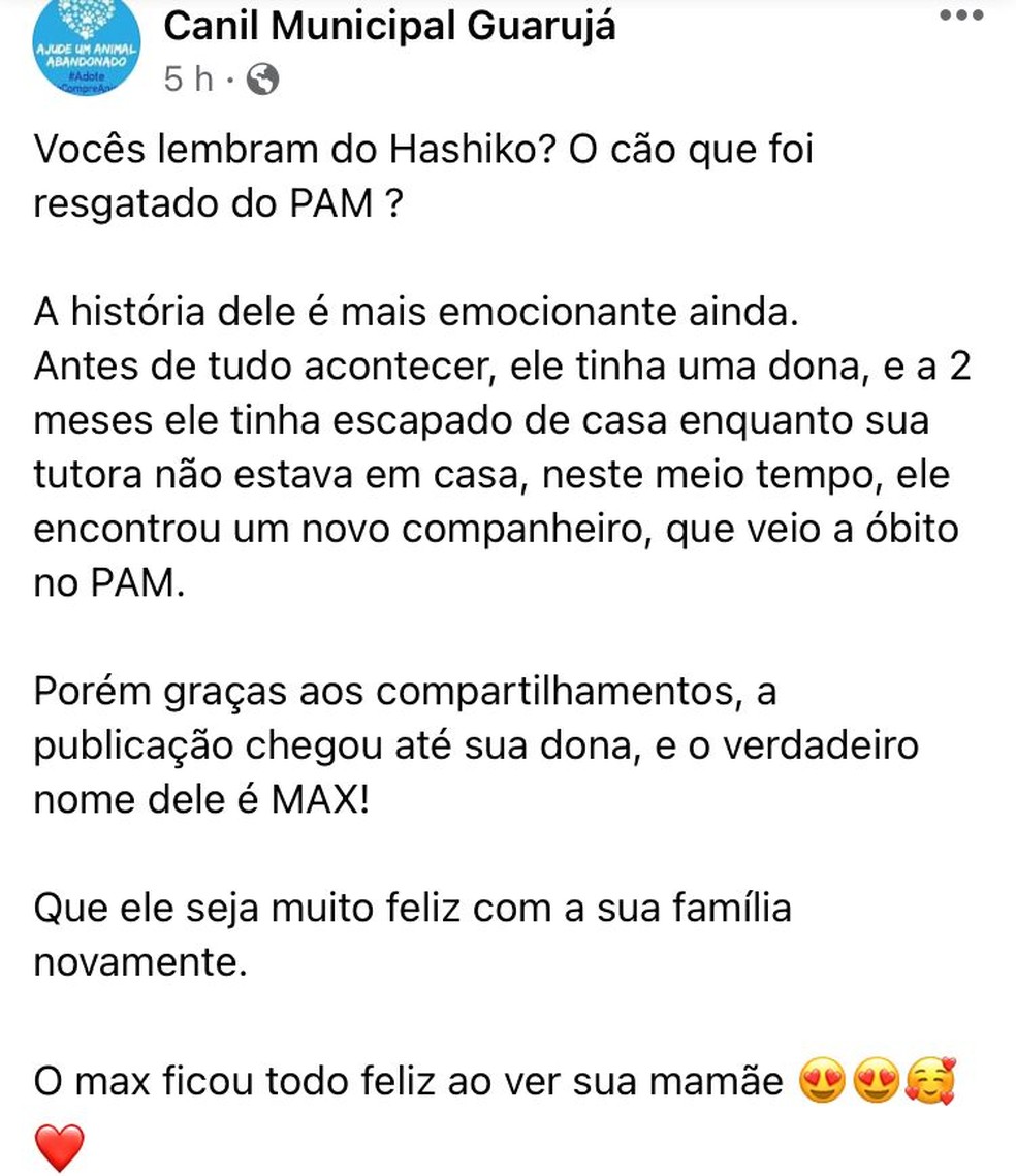 contioutra.com - Cão que ficou em frente a hospital esperando dono falecido reencontra antiga família