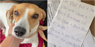 Vizinho pede ‘empatia’ em carta em que ameaça tirar a vida de cachorra