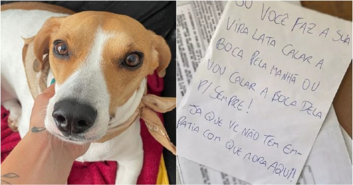 Vizinho pede ‘empatia’ em carta em que ameaça tirar a vida de cachorra