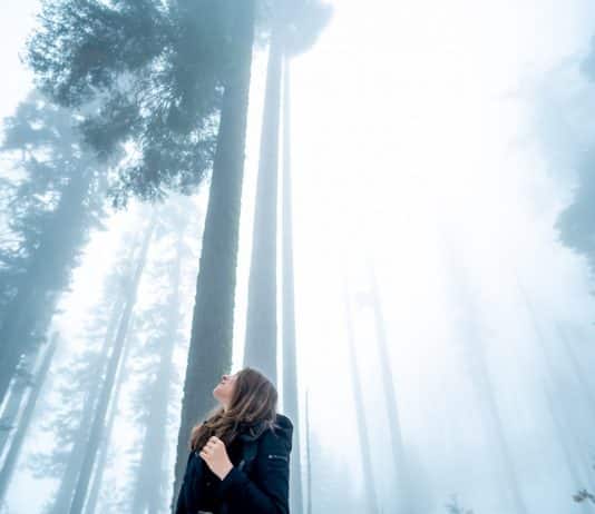 Depressão Reativa: sofrimento intenso ocasionado por lutos e perdas