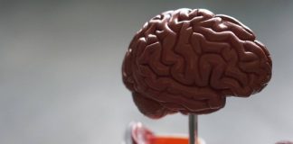Covid-19 aumenta o risco de Alzheimer, Parkinson e AVC, aponta novo estudo