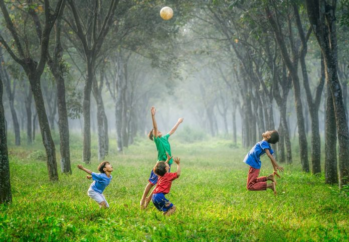 Alfabetização emocional: aprendizagem de habilidades essenciais para uma vida de qualidade