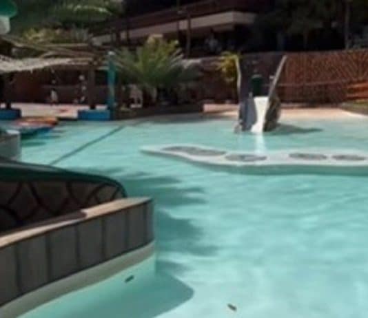 Mãe é expulsa de parque aquático por levar comida a filho autista com restrição alimentar