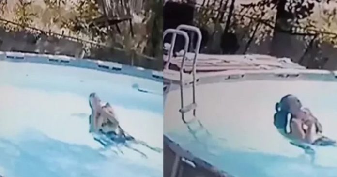 Garoto de 10 anos salva a mãe durante convulsão na piscina; veja o vídeo!