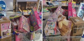 Mãe é criticada por encher 3 carrinhos de compras com brinquedos para sua filha: ‘Excesso de mimo’