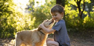 Especialista animal orienta pais na procura por cães como companheiros de filhos com necessidades específicas (PNE)