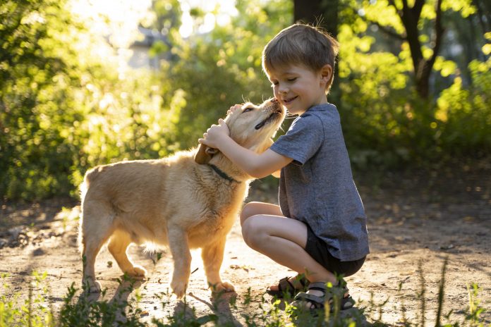Especialista animal orienta pais na procura por cães como companheiros de filhos com necessidades específicas (PNE)