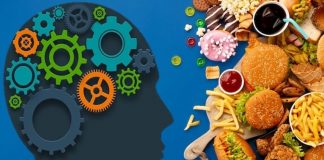 Consumo excessivo de alimentos ultraprocessados aumenta o risco de declínio cognitivo